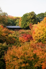 東福寺