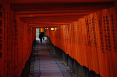 朱