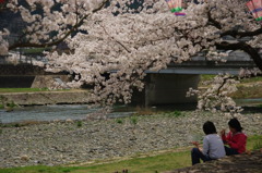 仲良しの春
