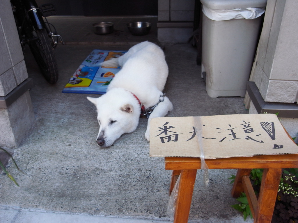 頼りになる番犬