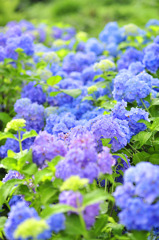 _DSC7755_9081