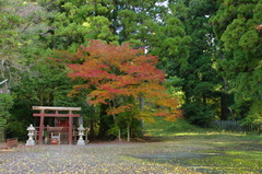 高野山にて7