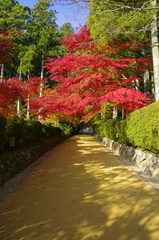 高野山にて4