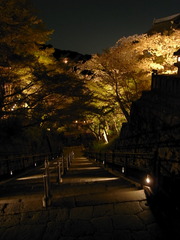 桜トンネル