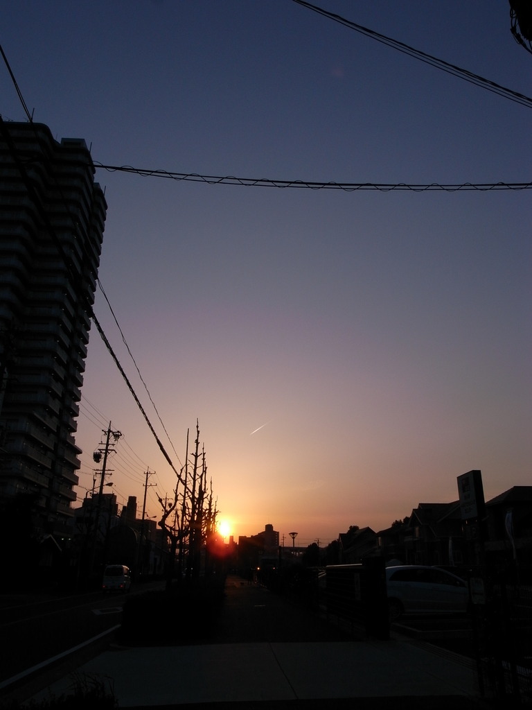 帰宅