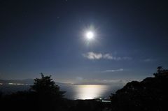 錦江湾の夜景