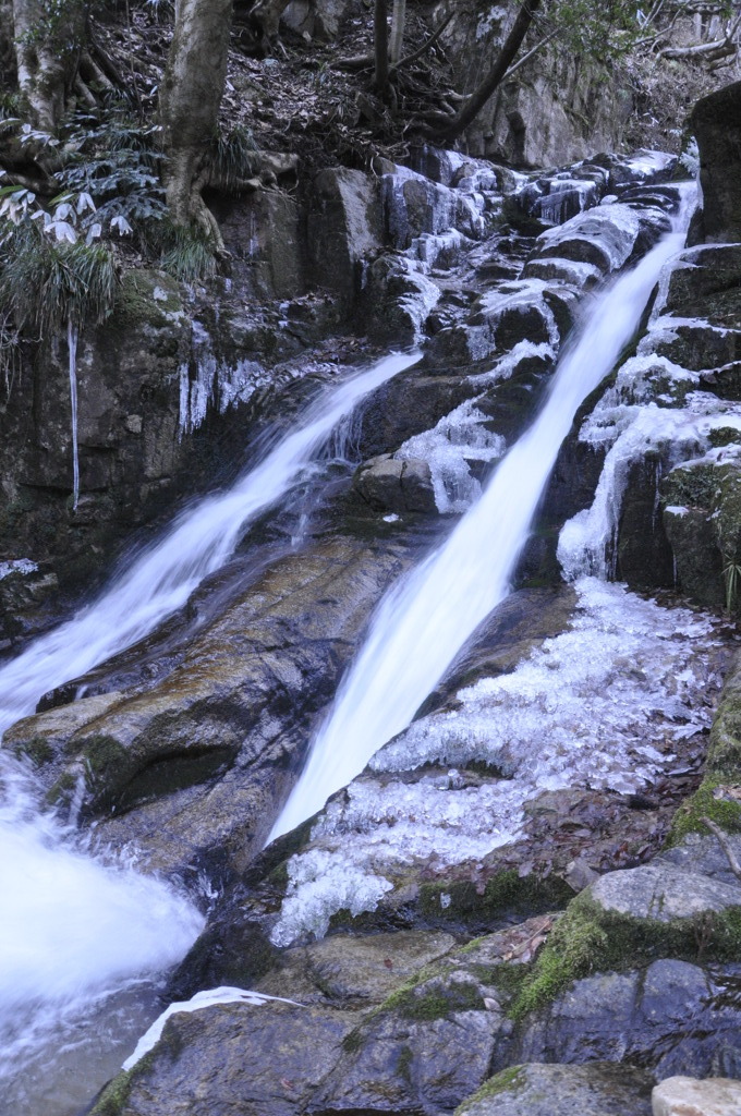 _DSC0106