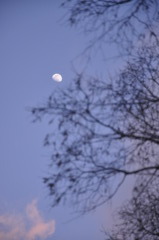 _DSC0122