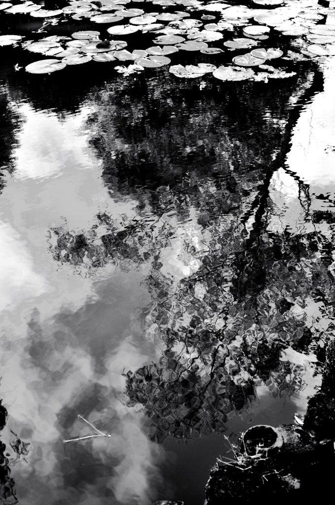 Canvas on surface of water