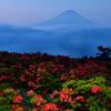 甘利山LED
