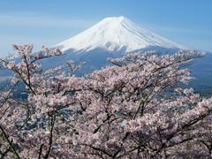 北麓の春