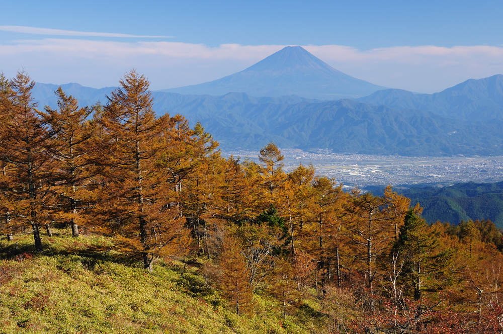 秋晴れの甘利山