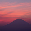 優しく染まる朝