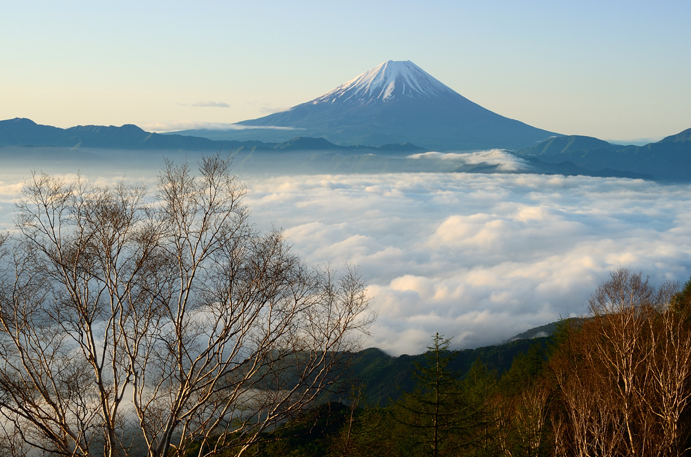 甲府盆地を埋める雲海