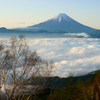 富士山