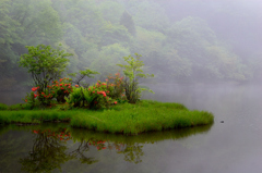 霧の椹池