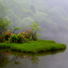 霧の椹池