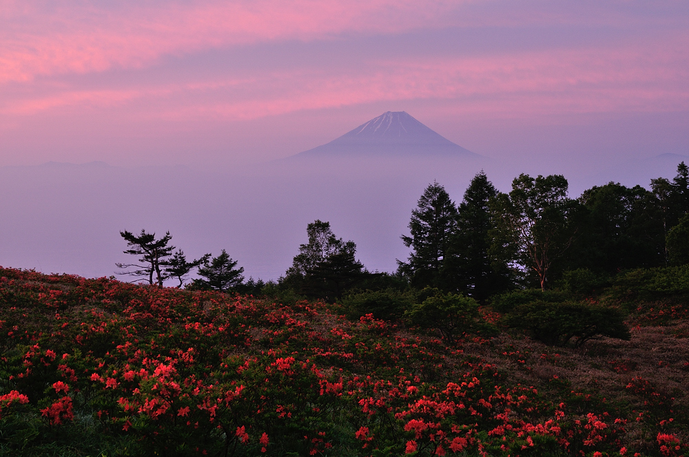 甘利山紅彩