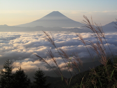 初秋　富士と雲海