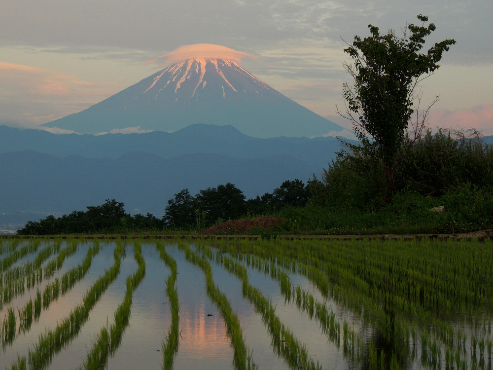 夕焼けに染まる富士山