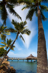 水上レストラン