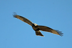 日差しを浴びて