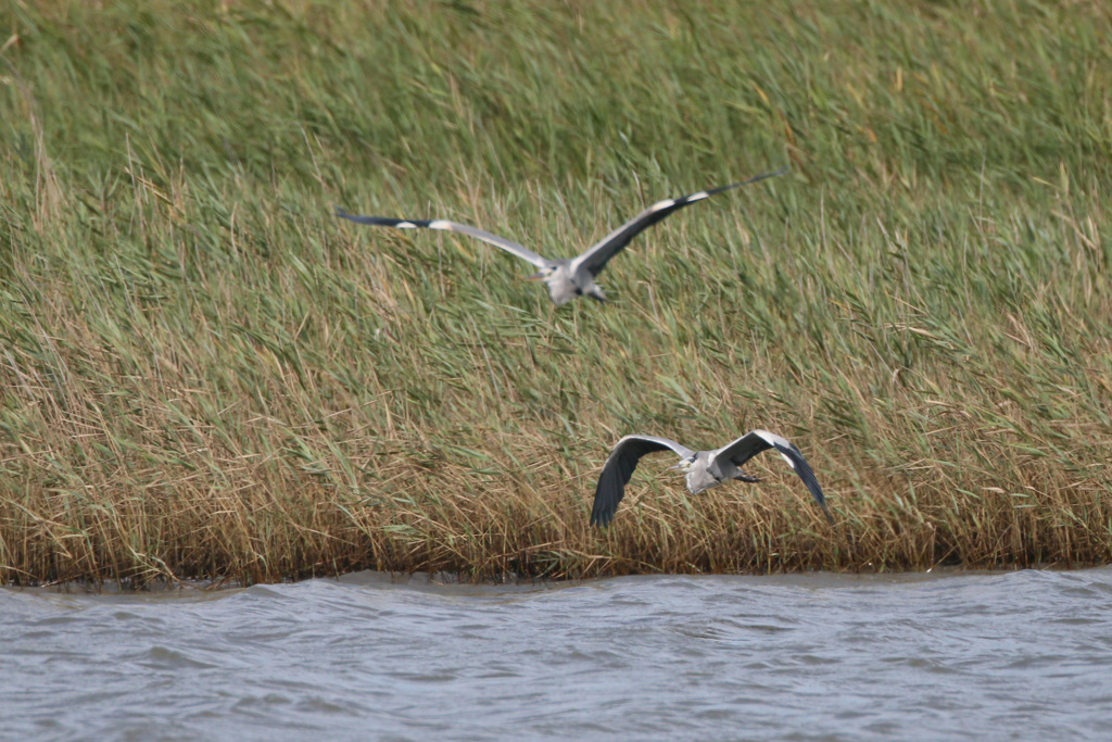 もう少しでシンメトリー