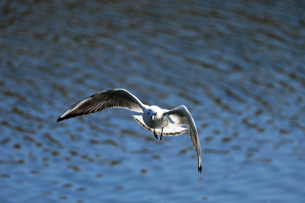 正面シリーズその2