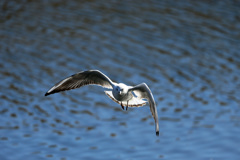 正面シリーズその2