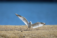 日差しを浴びて