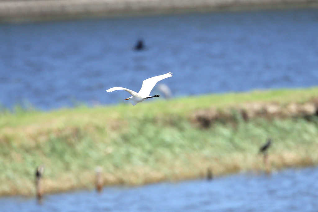 日差しを浴びて