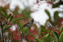 寝ぐせついてるよ～