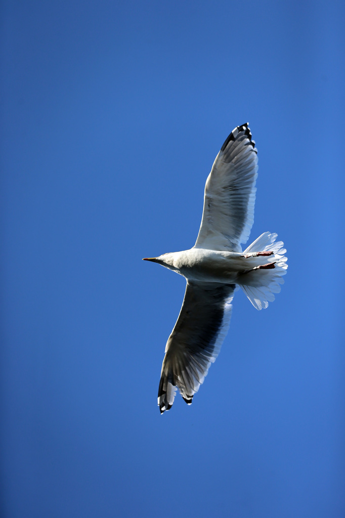日差しを浴びて