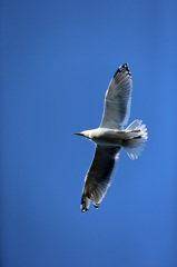 日差しを浴びて