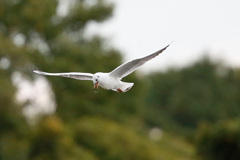 嘴何かついてるよ