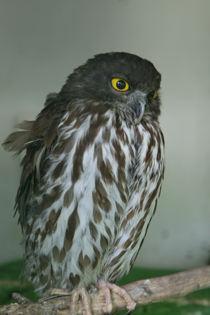 今日も怒ってます