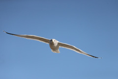 正面シリーズ-3