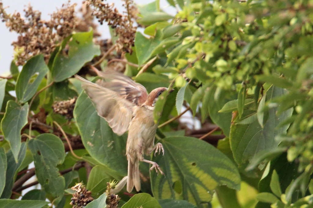 頭突っ込んでます