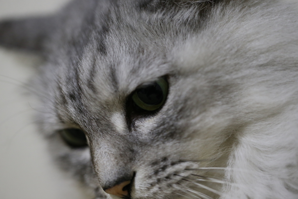 瞳の中に映るもの