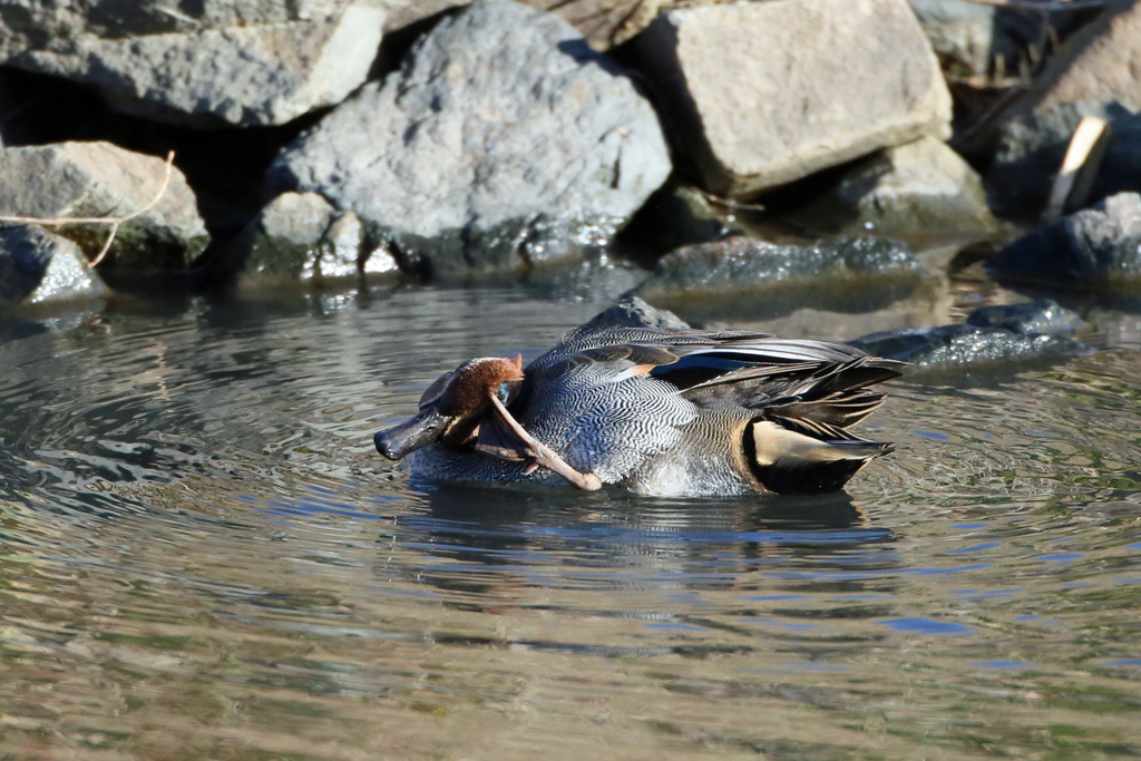 痒い所に足が届く