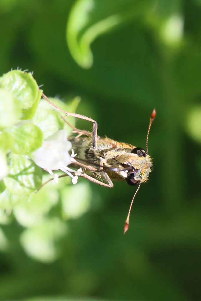 したからアップで