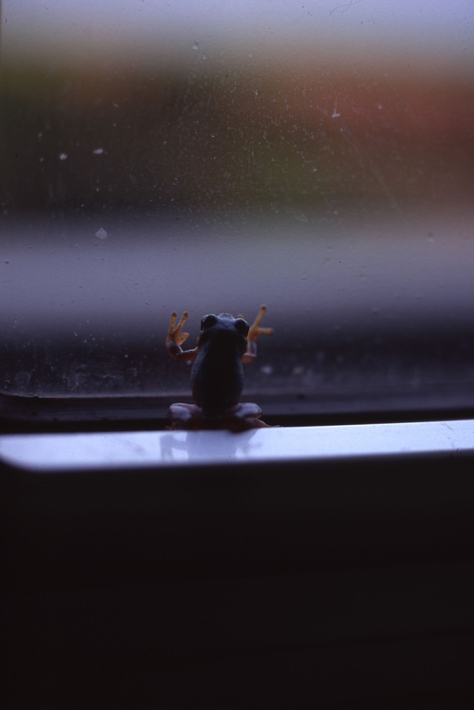 外は雨かな