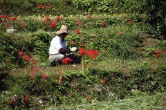 おじちゃん仕事中
