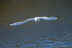 正面シリーズその9