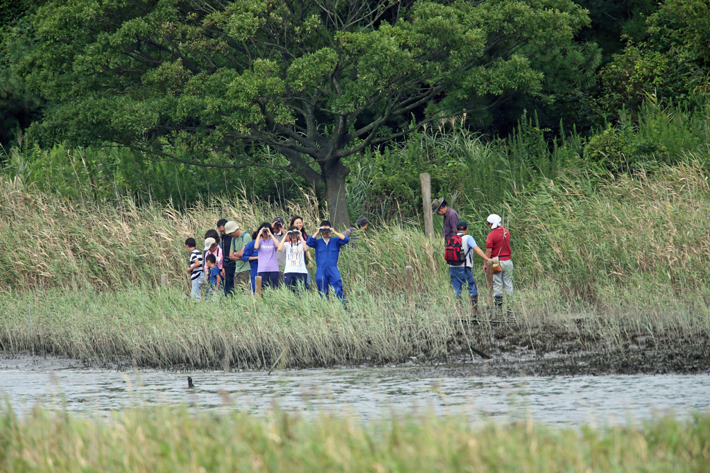双眼鏡で何見てるの？