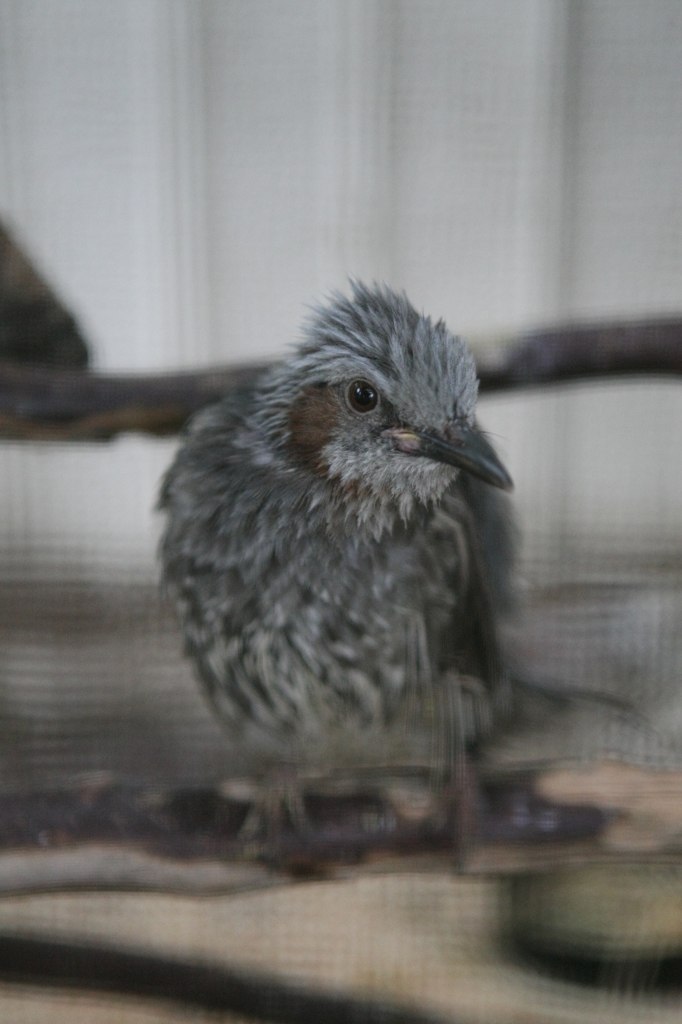 可愛く撮ってね