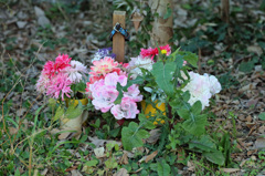 いつもお花がいっぱい