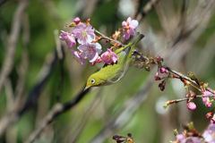 飛び出してほしかった 飛び出してほしかった