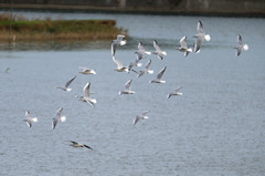 日差しを浴びて