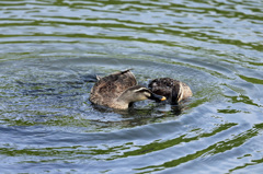 キスは恥ずかし～